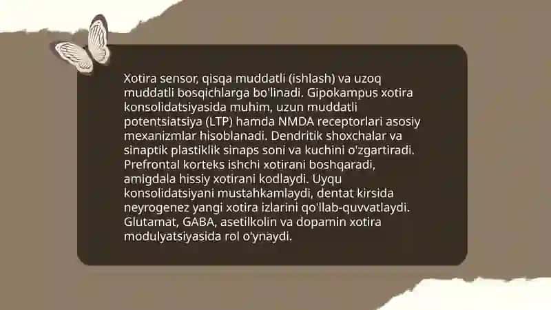 Psixik jarayonlar va miyaning uzaro aloqadorligi 4