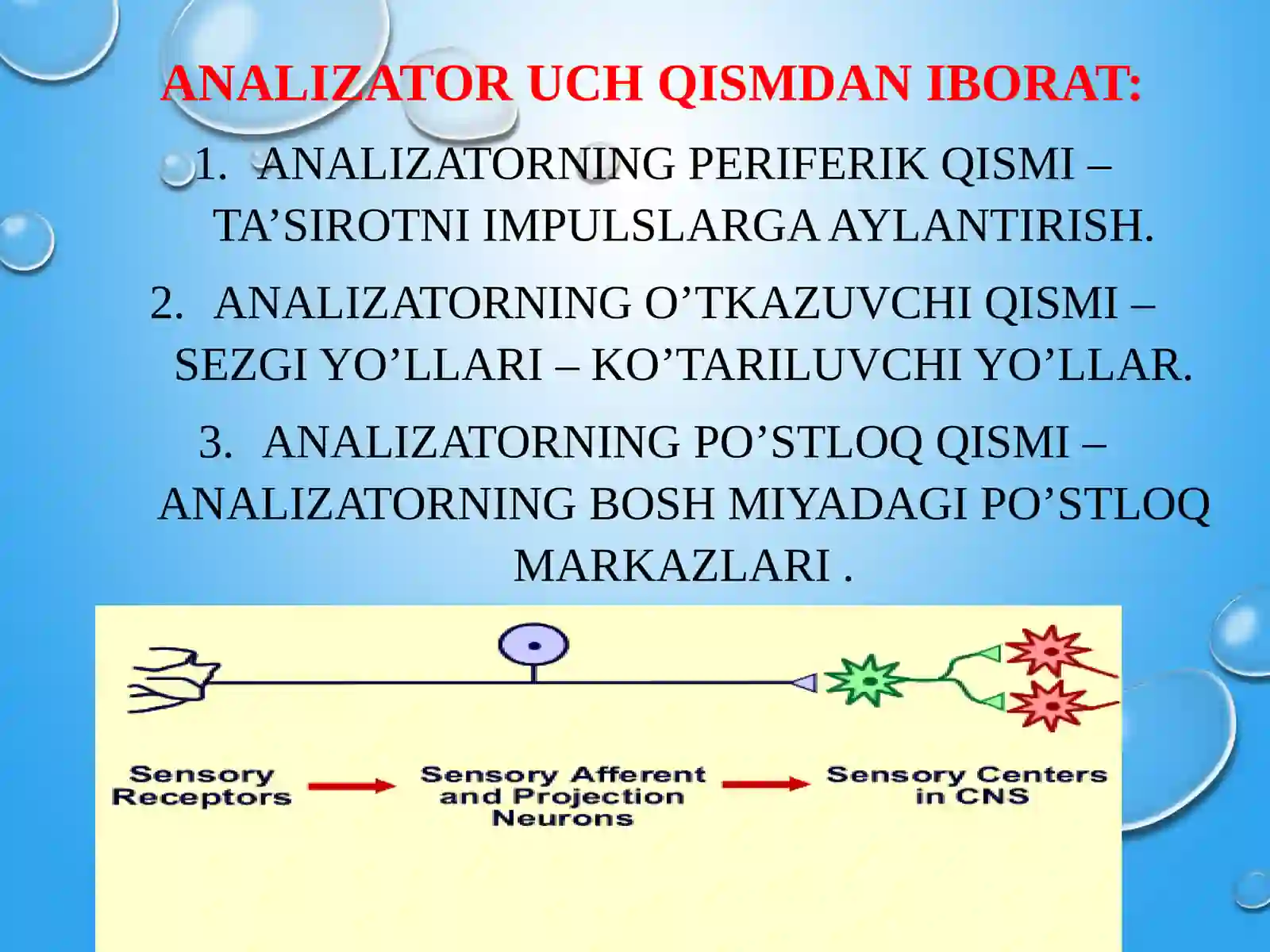 Sezgi sferasi 4