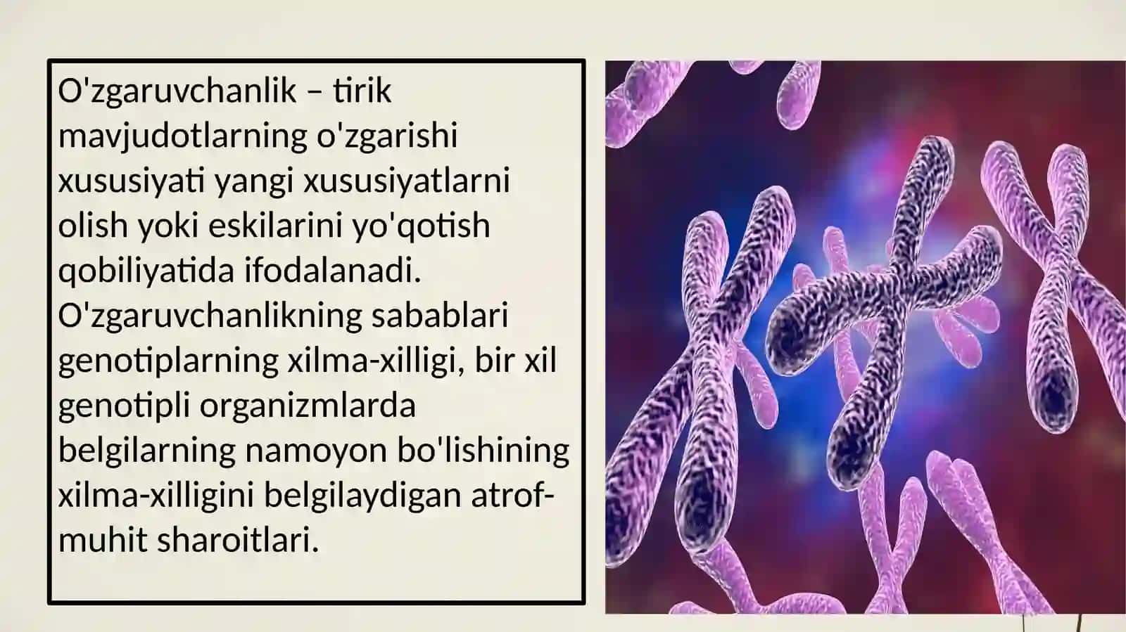 Genetika kurs ishi 4