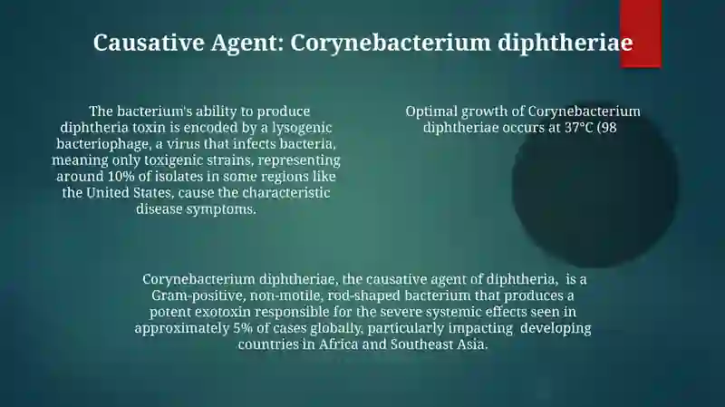Diphtheria: A Historical Overview 4