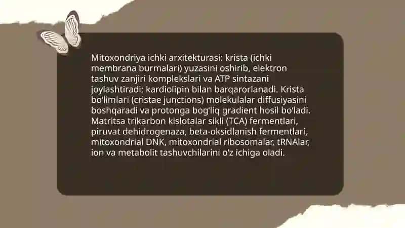 Mitaxondriyaning tuzilishi va boshqa organoidlar bilan aloqasi 4
