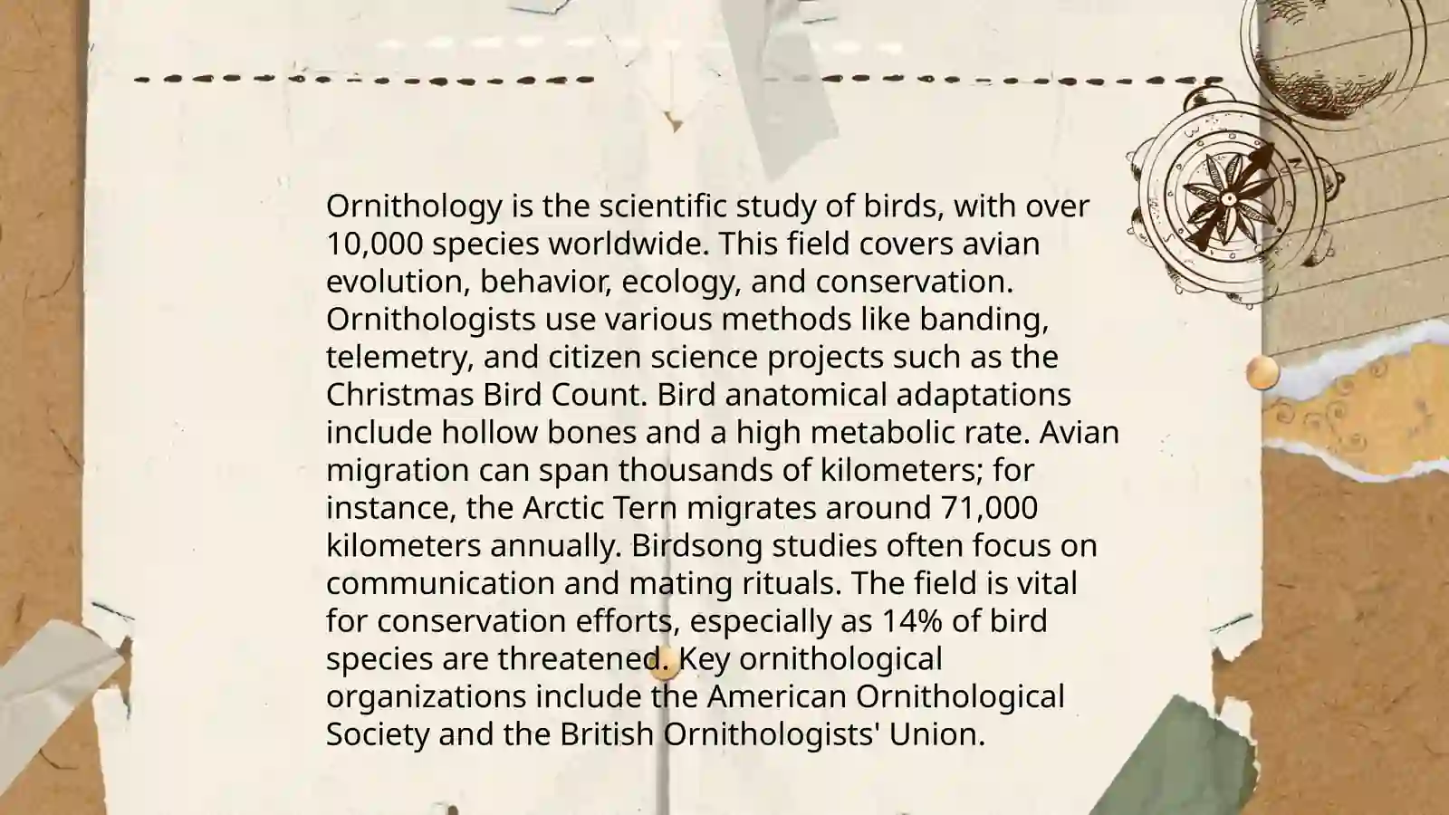 Oceanography 4