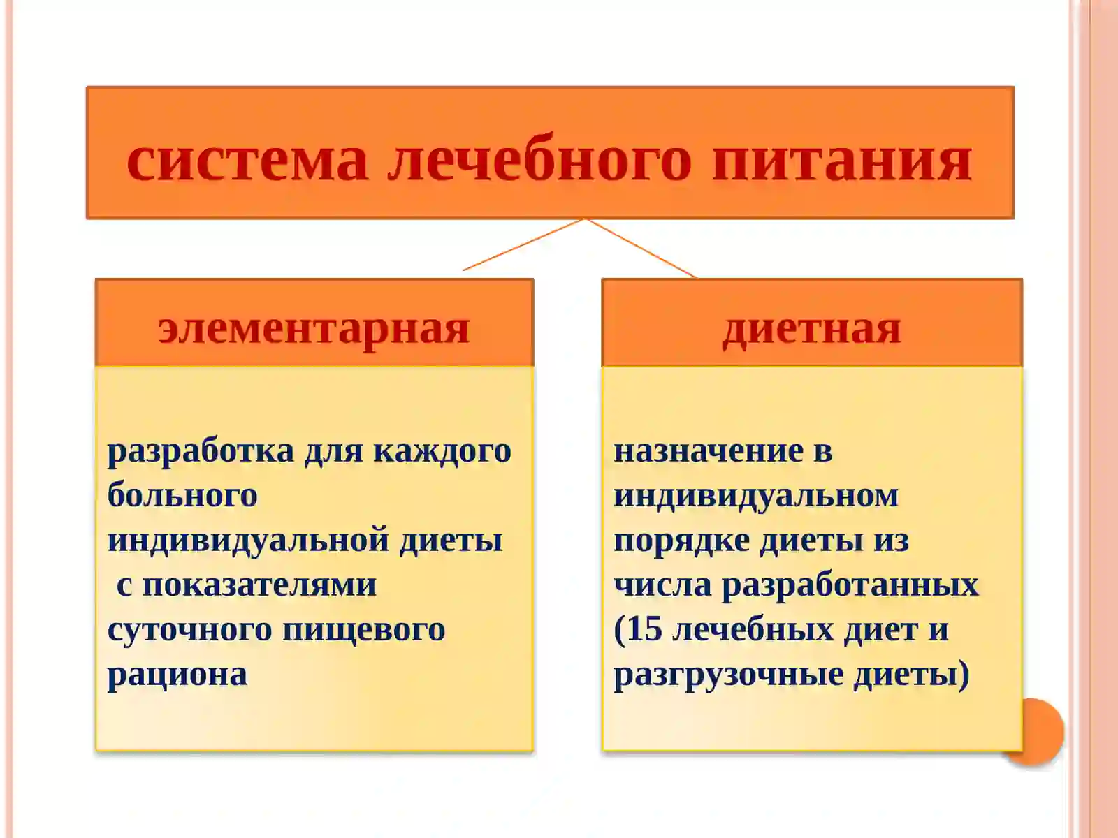 ГИГИЕНА ПИТАНИЯ 4