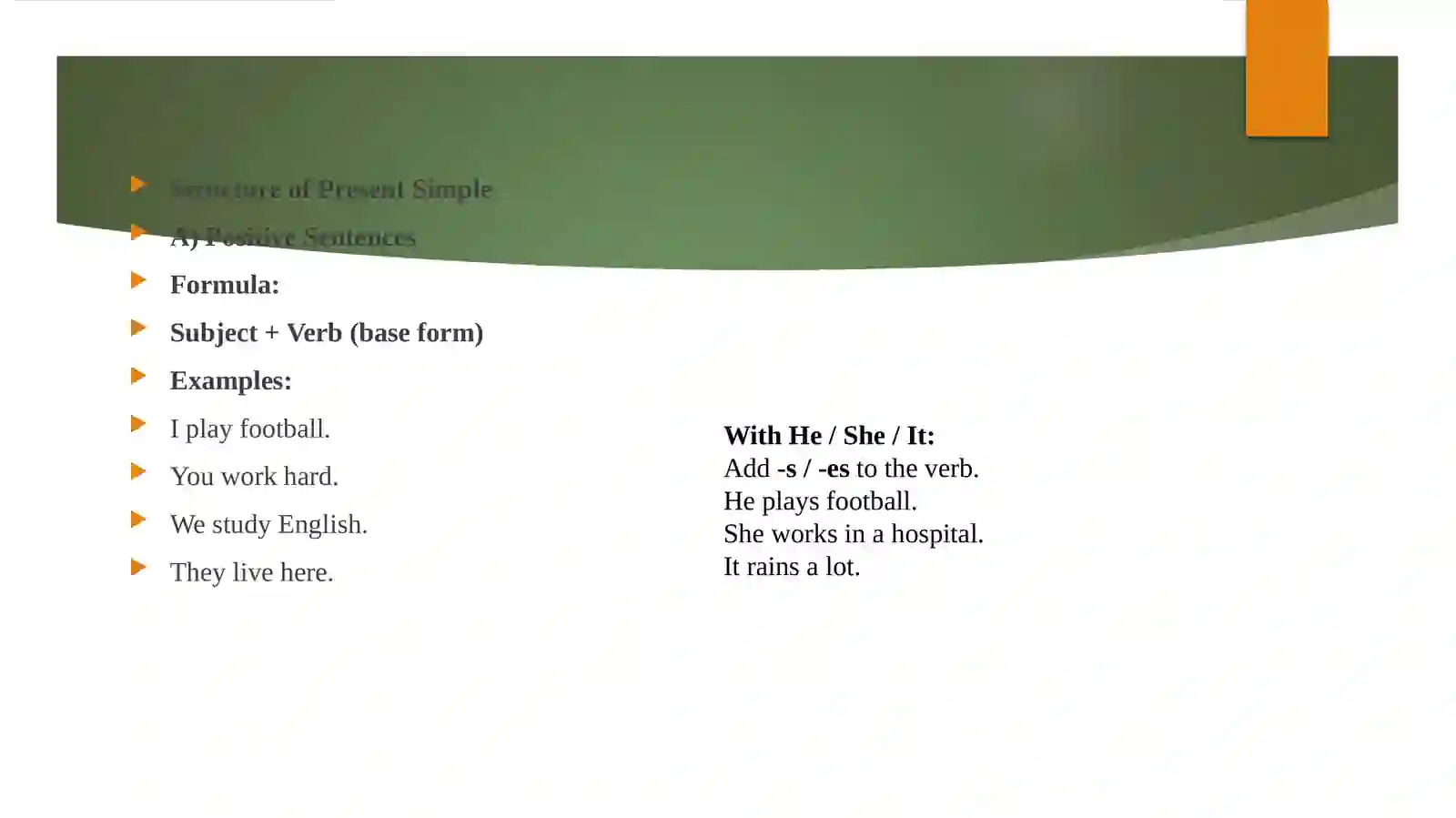 Present Simple Tense 4