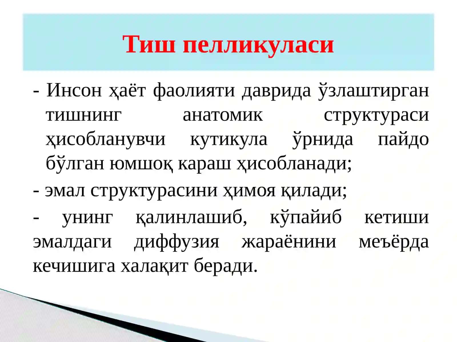 Тишкарашлари ва тошлари таснифи 4