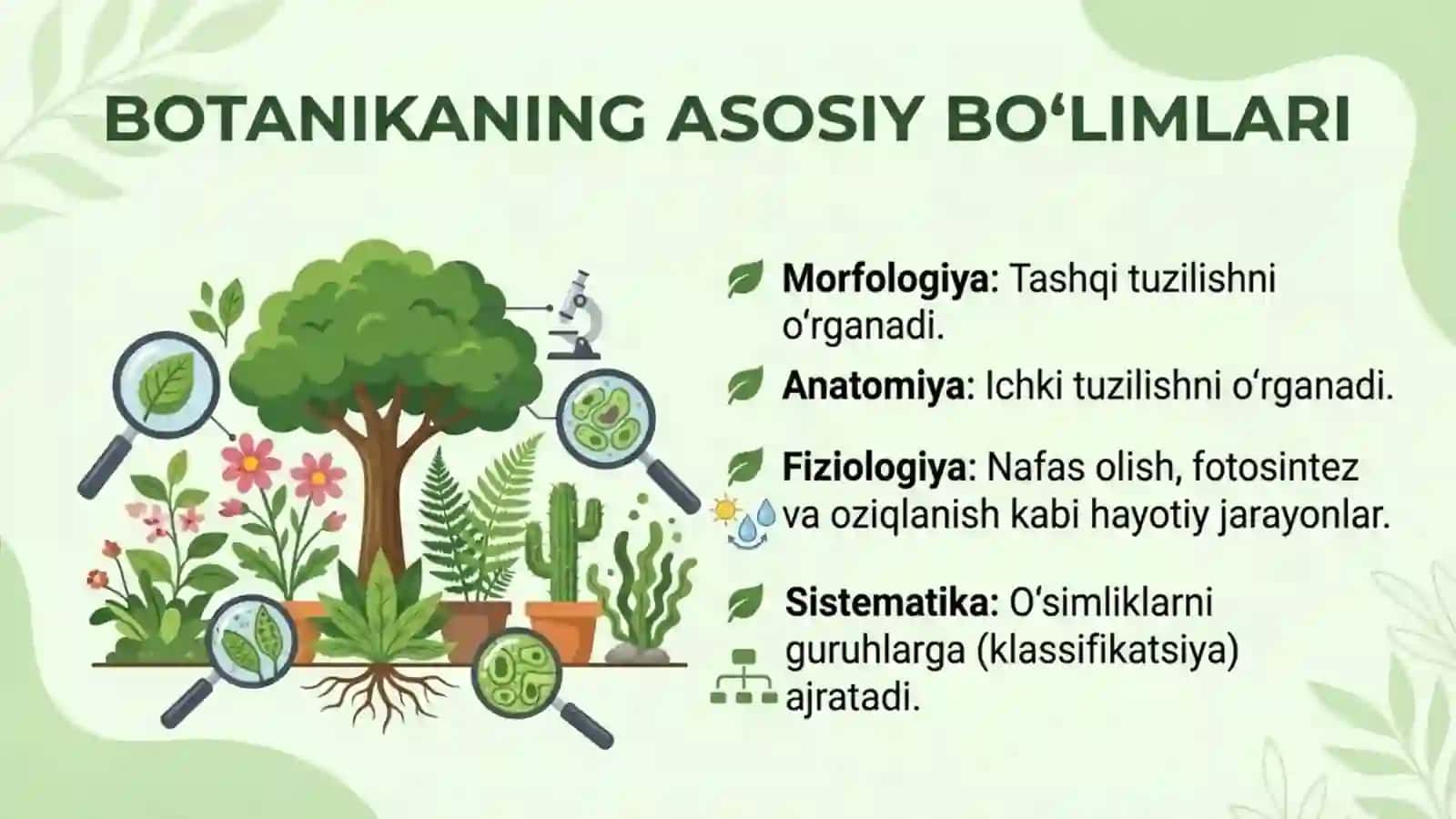 Botanika: O'simliklar haqidagi fan 4