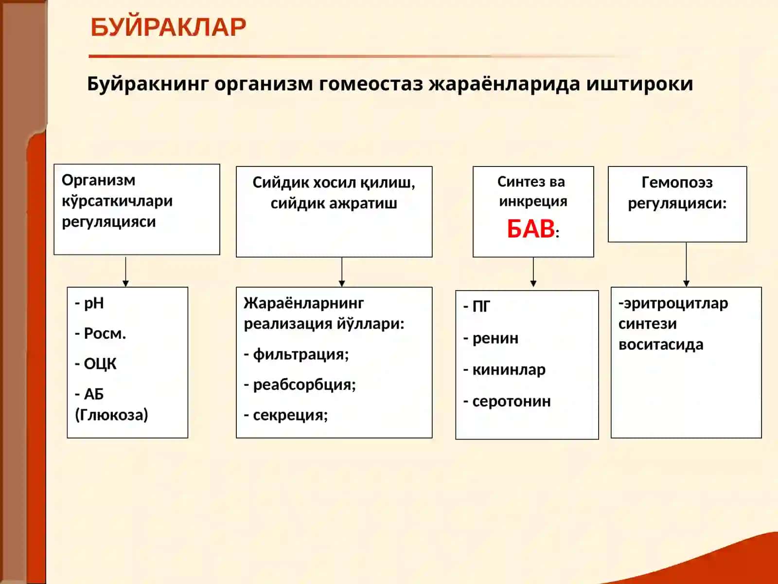 МАЪРУЗА№ 13БУЙРАК КАСАЛЛИКЛАРИ БИЛАН КАСАЛЛАНГАН БЕМОРЛАРНИ ТЕКШИРИШ 4