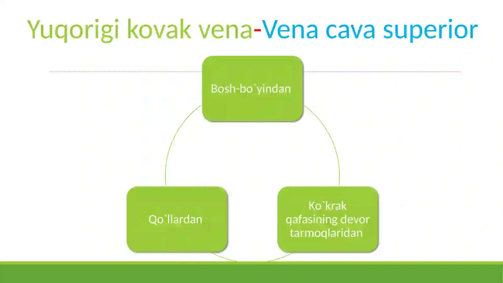 Yuqorigi kovak vena 4