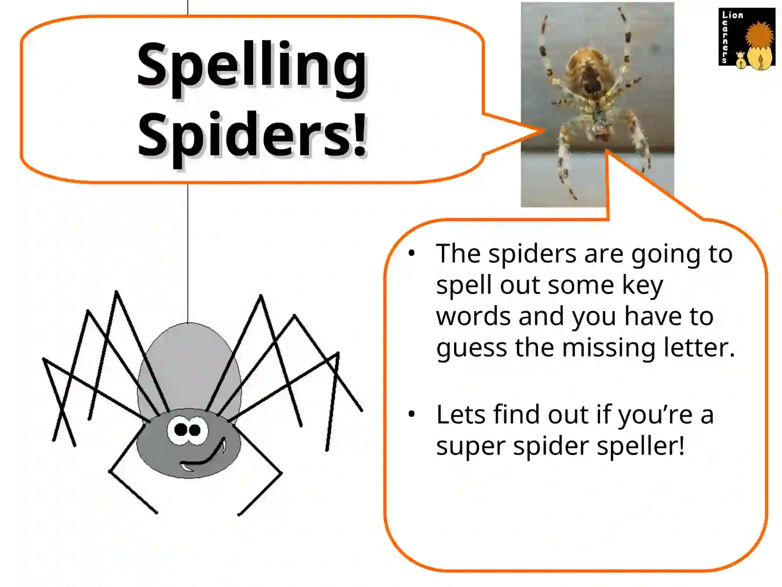 Spelling Spiders 4