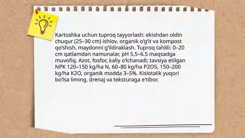 Kartoshka yetishtirish texnologiyasi 4