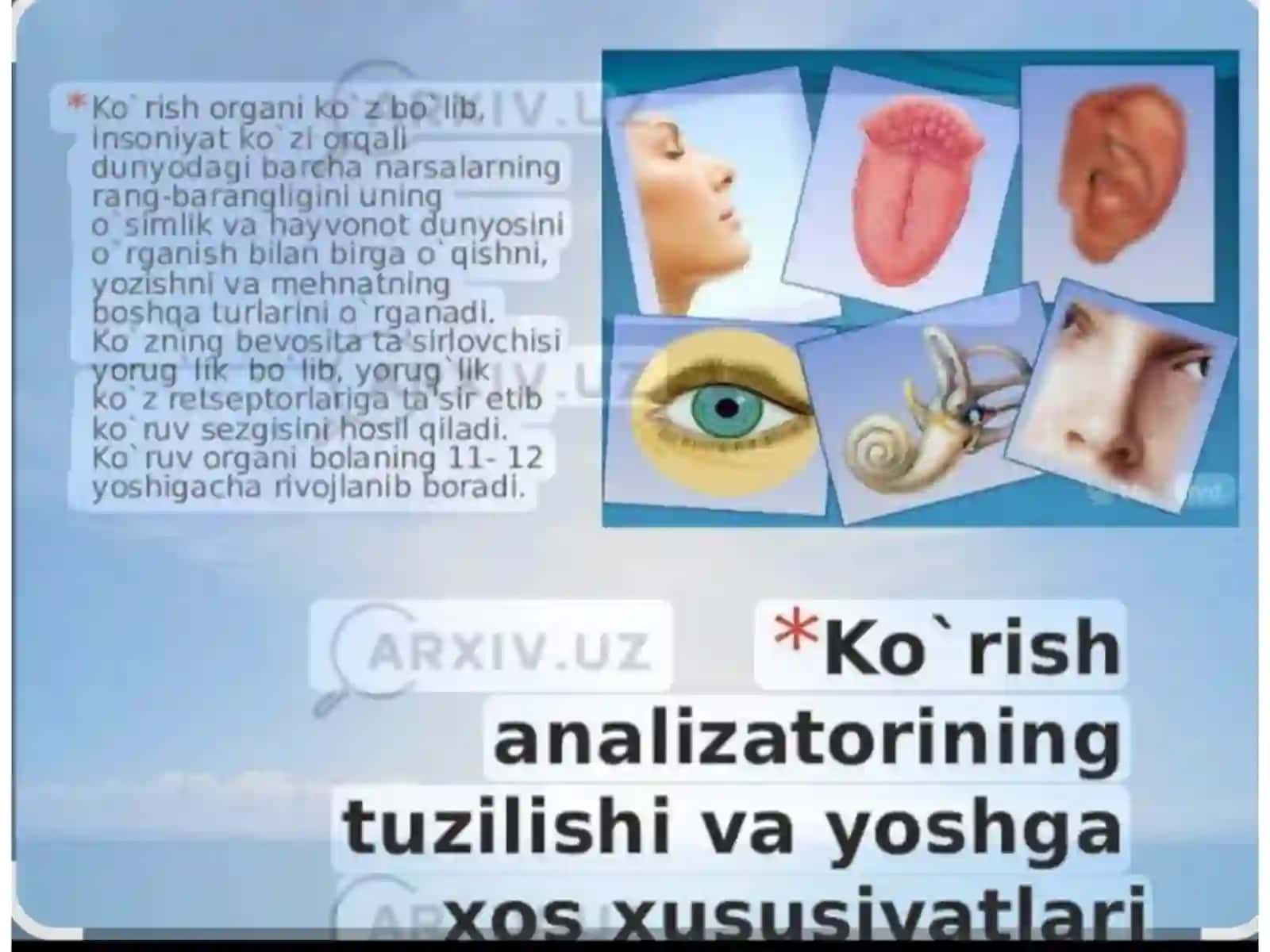 Koʻrish va rang ajratish sensorliklarining biofizikaviy asoslari 4