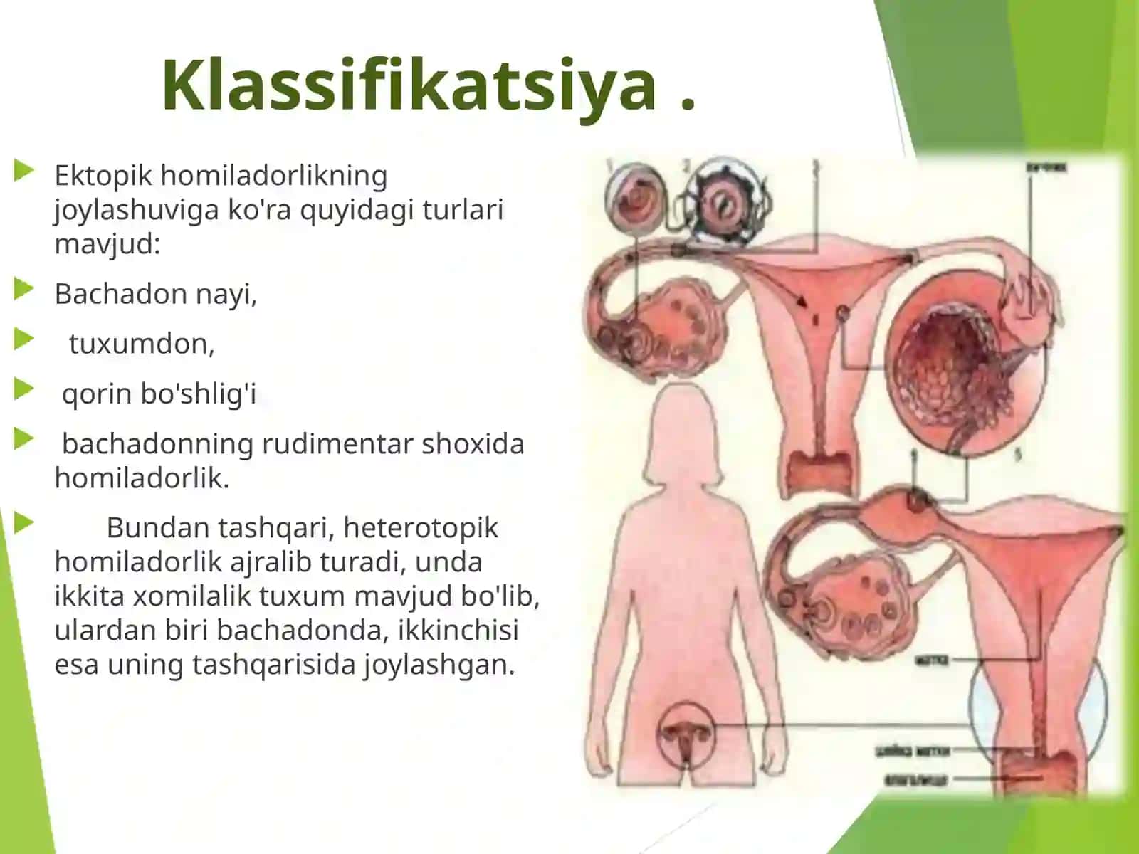bachadonda tashqari  xomladorlik 4