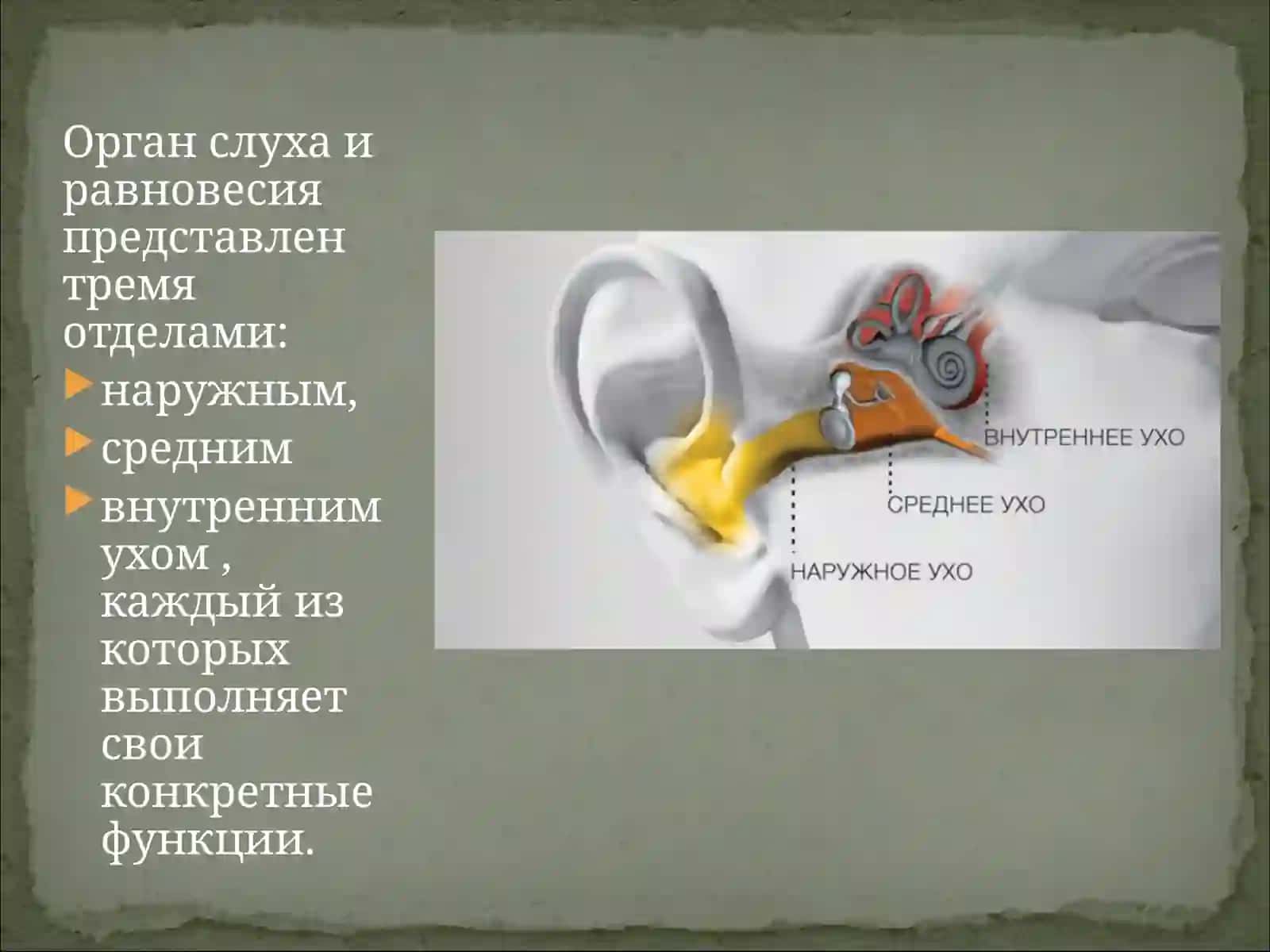 Механизм генерации звука 4