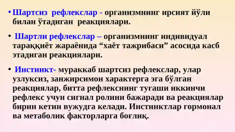 Олий нерв фаолияти 4