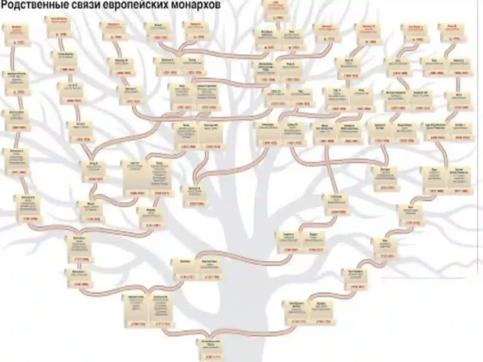 Qarindoshlar o'rtasidagi nikohning salbiyoqibatlari 4