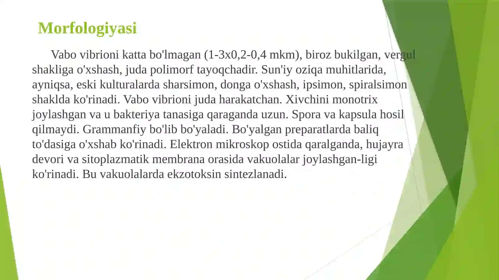 O'ta havfli yuqumli kasalliklar 4