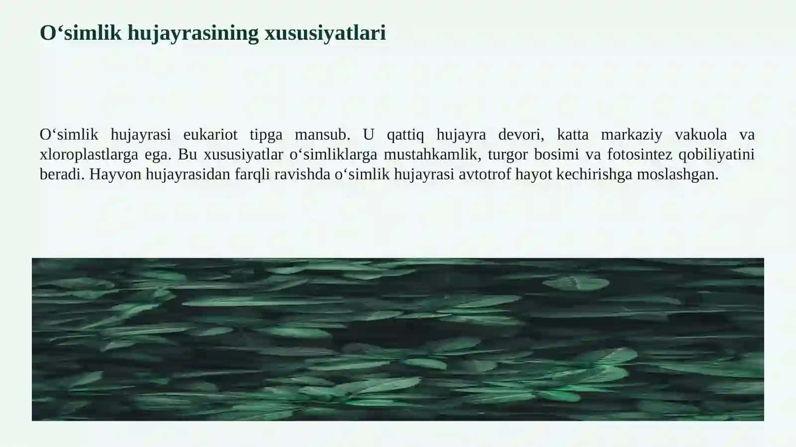 O‘SIMLIK HUJAYRASINING TUZILISHI VA VAZIFALARI 4