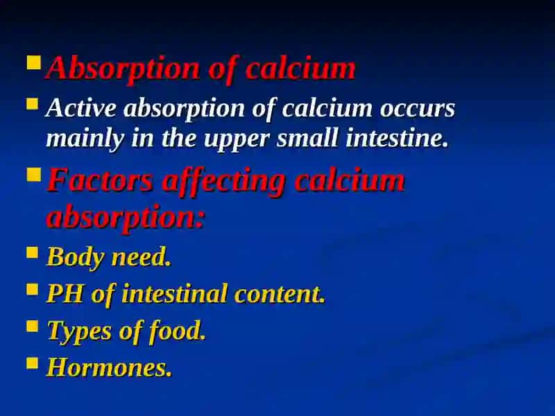 Calcium metabolism 4