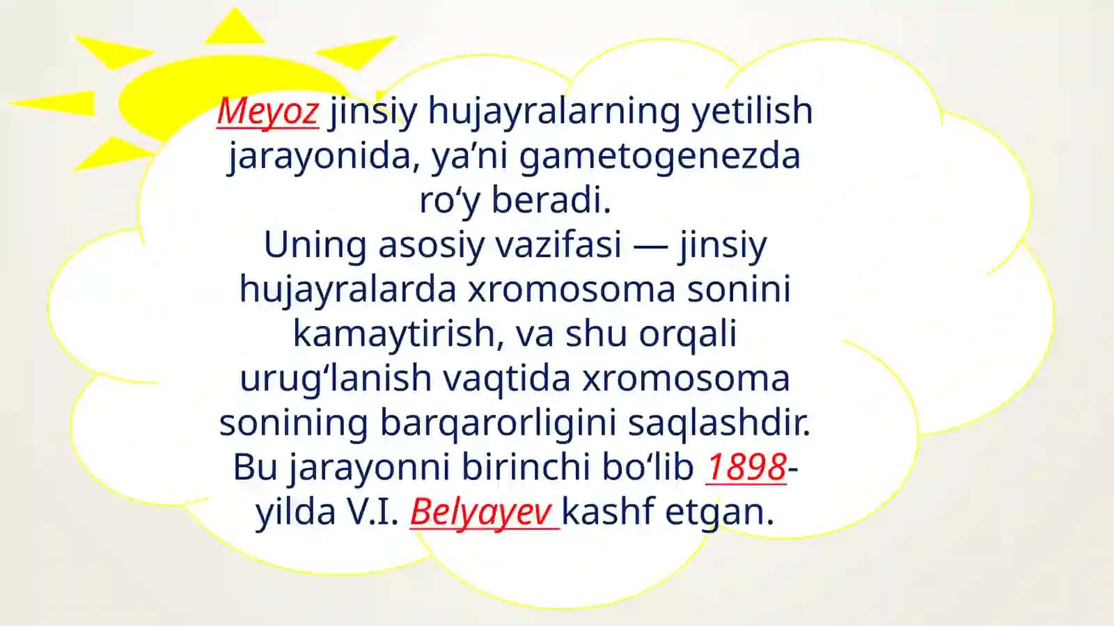 Meyoz 4
