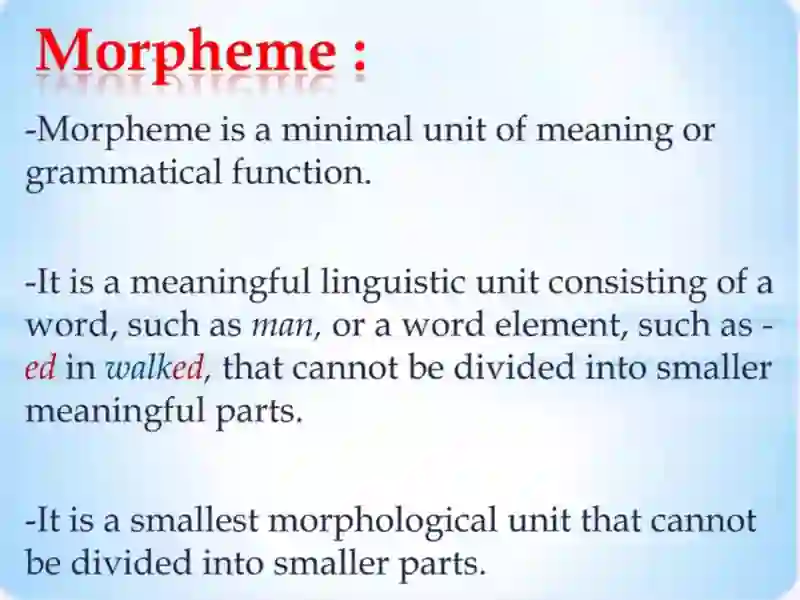 Morphology 4