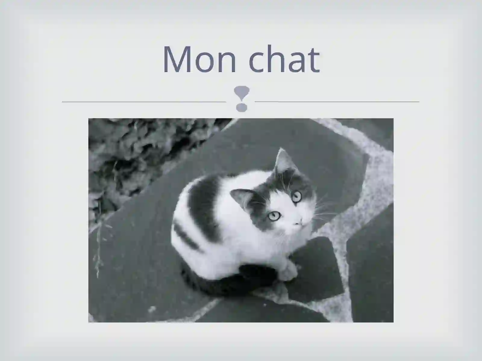 Mon grand-père 4