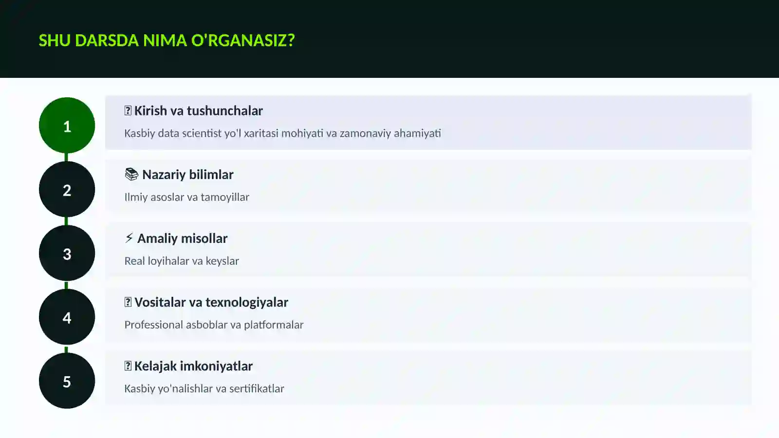 Kasbiy data scientist yo'l xaritasi 4