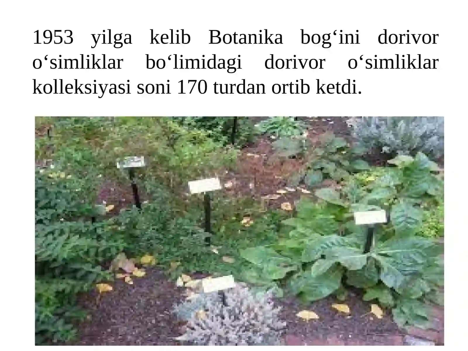 Madaniylashtirish va rayonlashtirish usullari 4