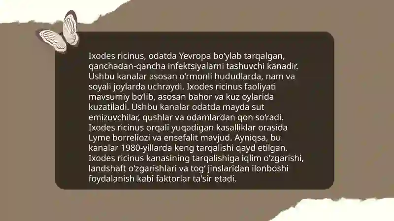 It kanasi-Ixodes ricinus 4