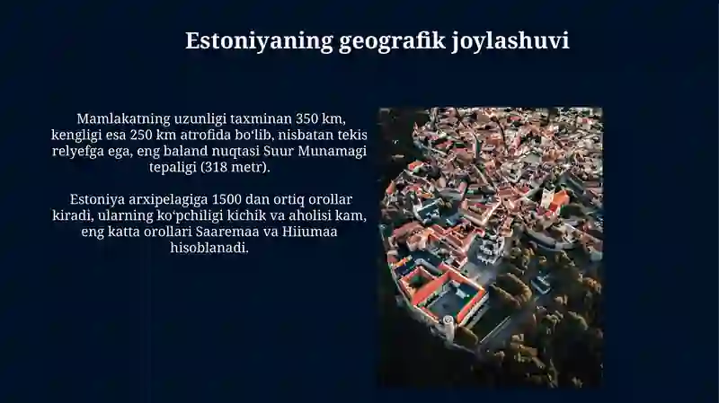 Estoniya madaniyati 4