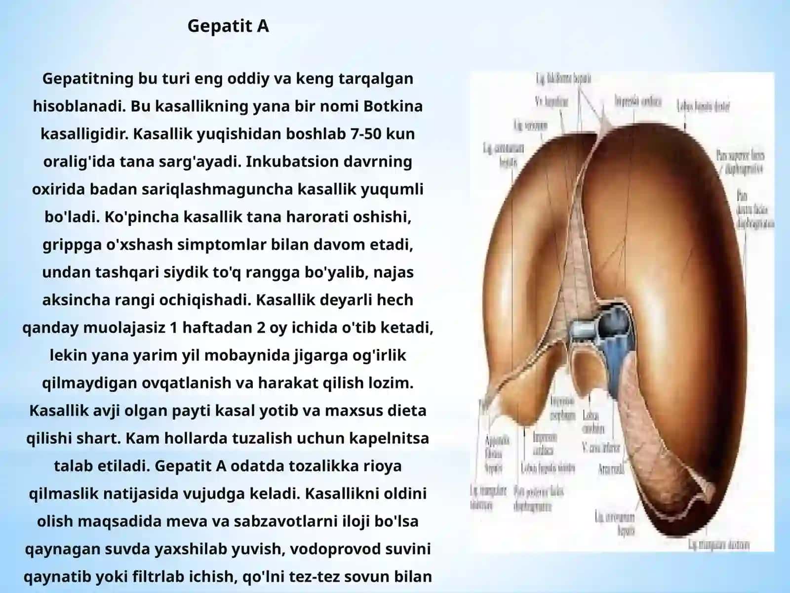 Biologiya-tuproqshunoslik“fakultetiBiologiyayo`nalishi 4