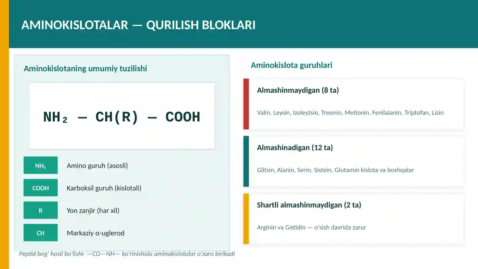 Oqsillar 4