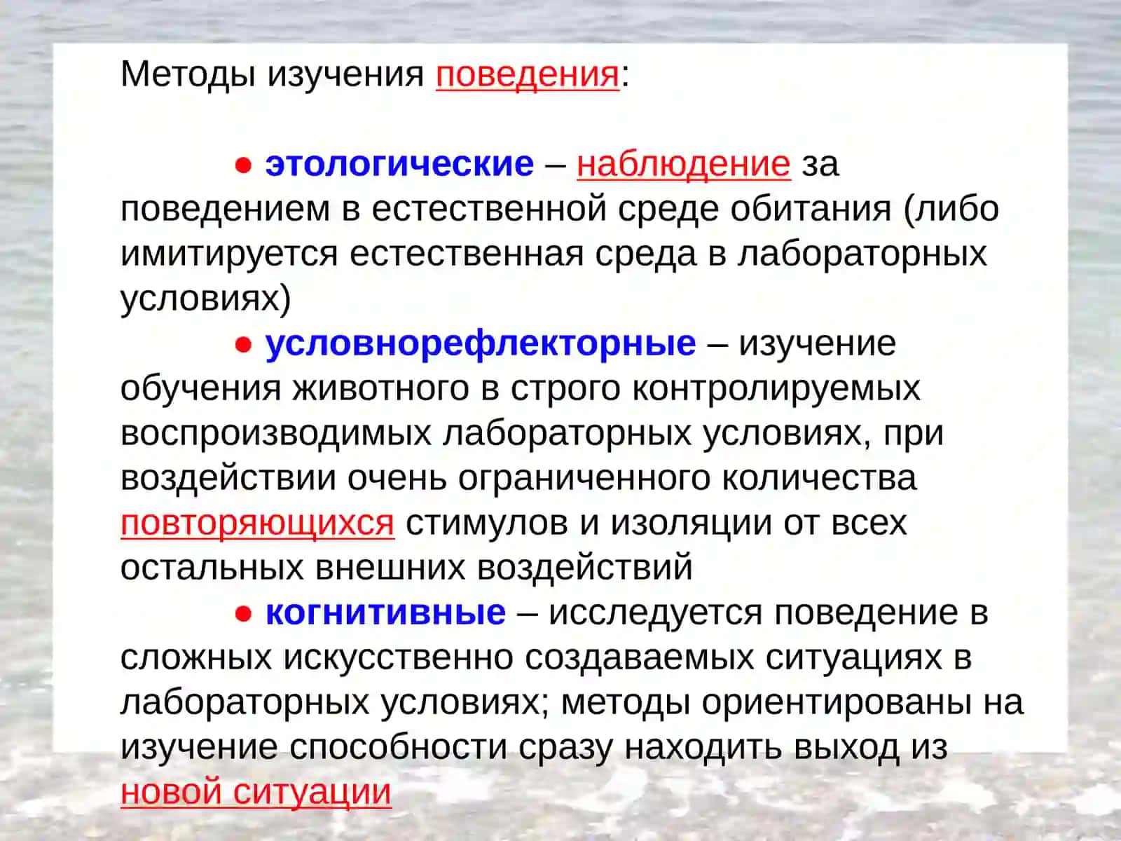 Физиология высшей нервной деятельности 4