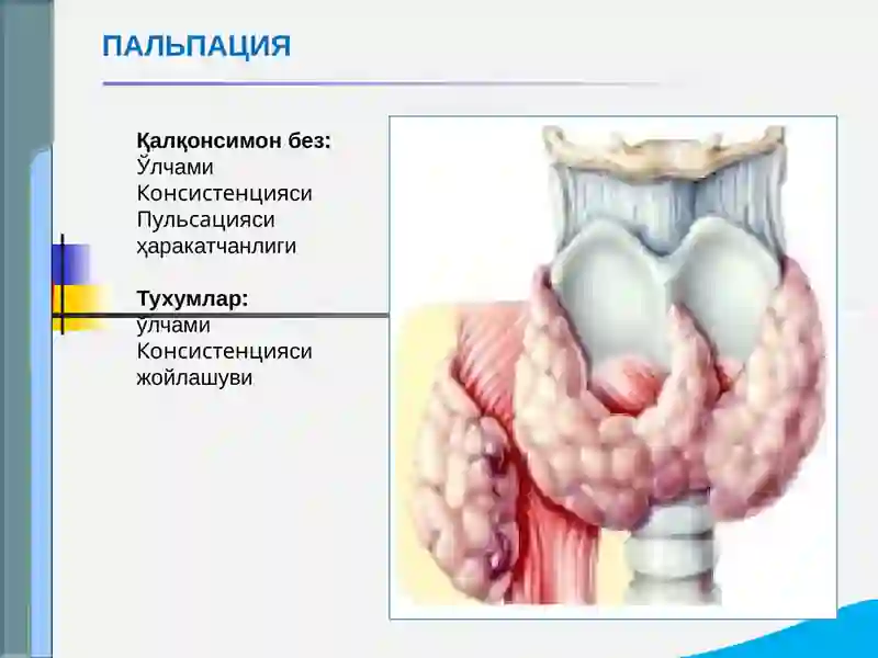 Эндокрин тизими касалликлари 4