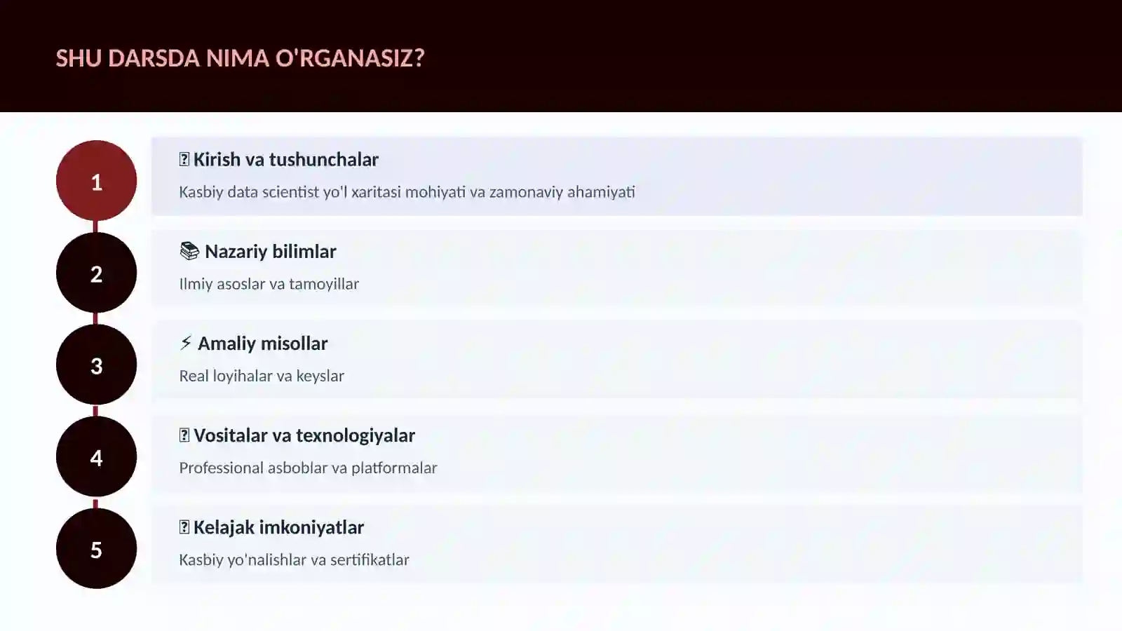Kasbiy data scientist yo'l xaritasi 4