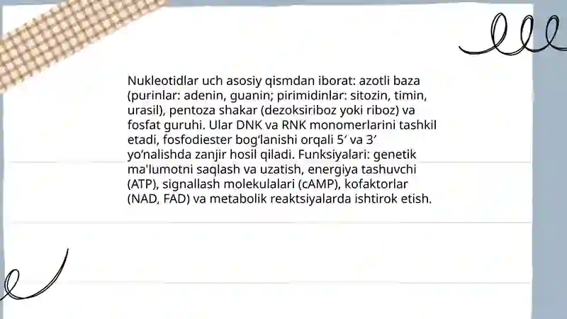 Nukleinlar 4