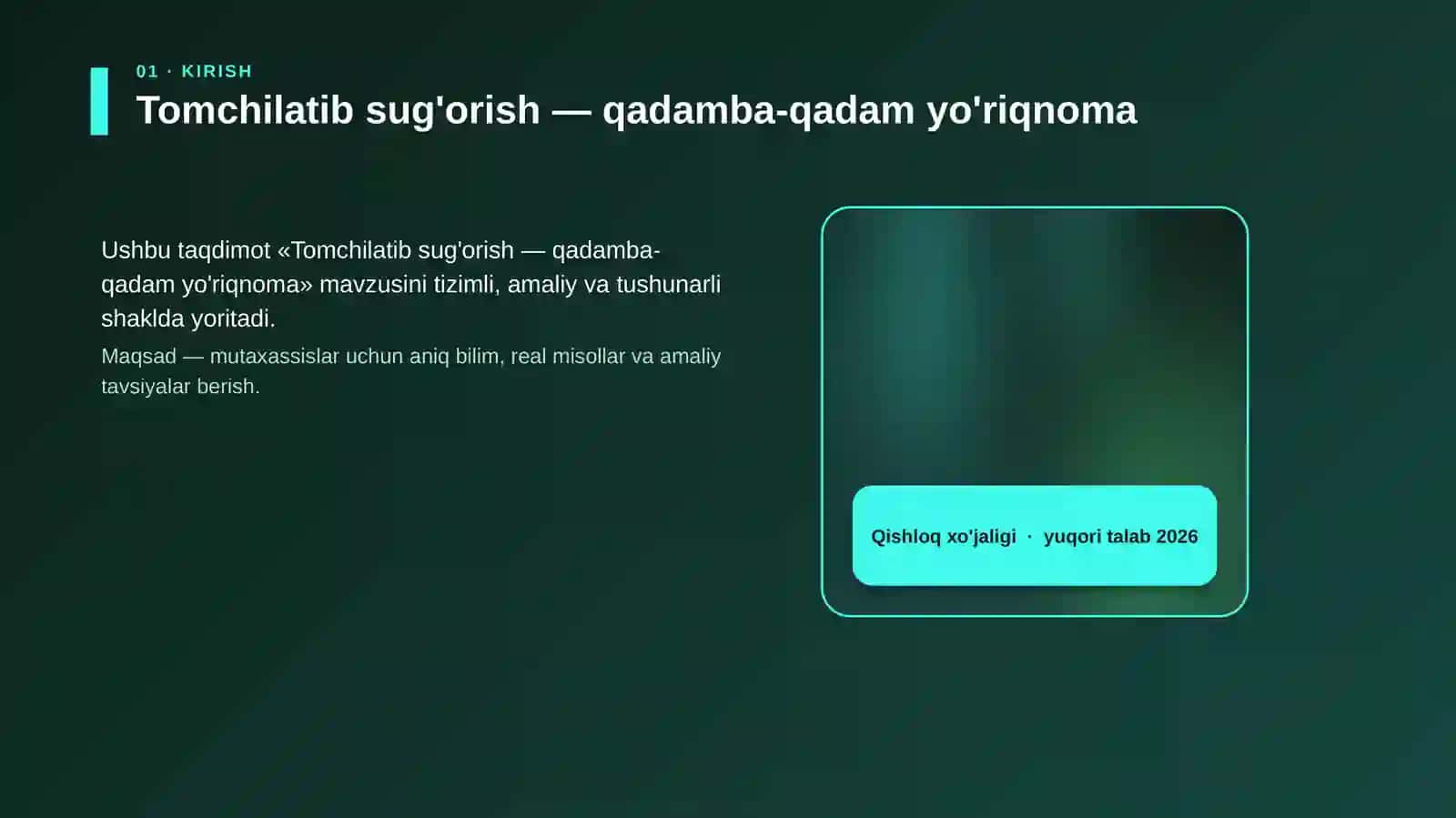 Tomchilatib sug'orish — qadamba-qadam yo'riqnoma 4