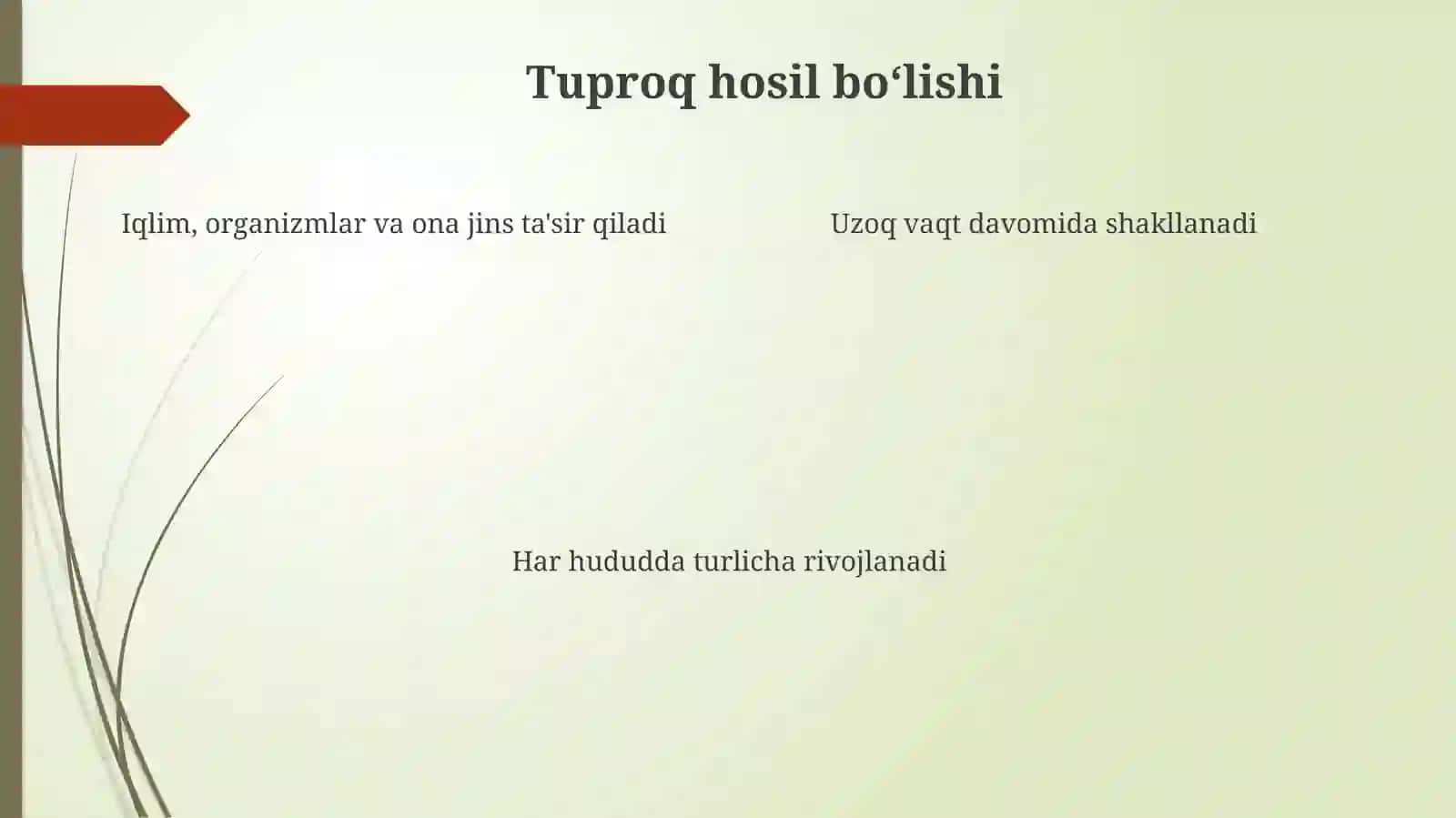 Tuproqlarni tarqalish qonuniyatlari 4