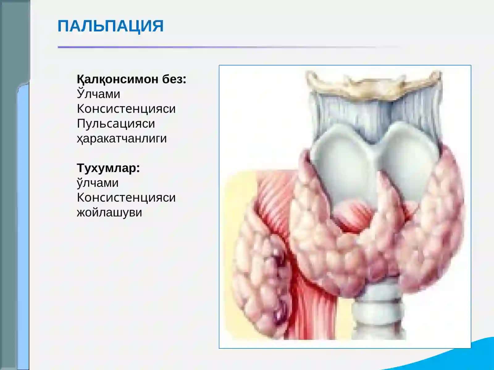 СЎРАБСУРИШТИРИШ 4