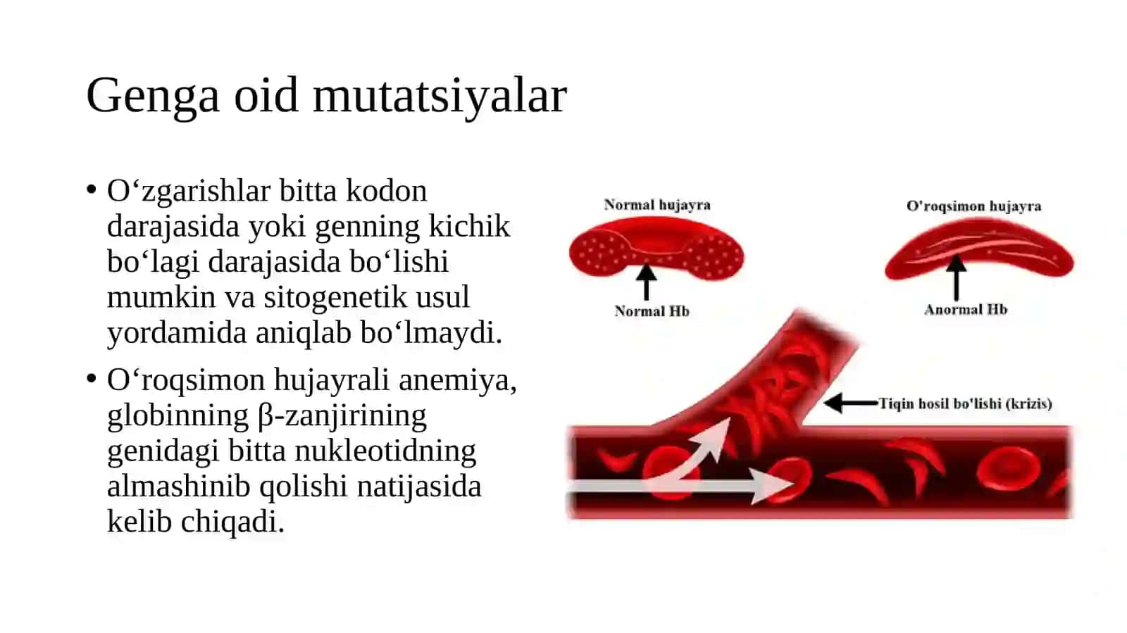 Mutatsiyalar va kanserogenez 4