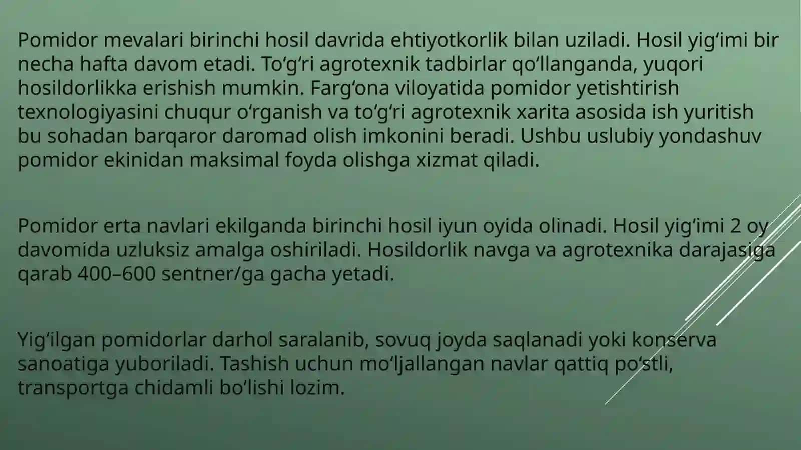 Pomidor yetishtirish agrotexnalogik xaritasi 4