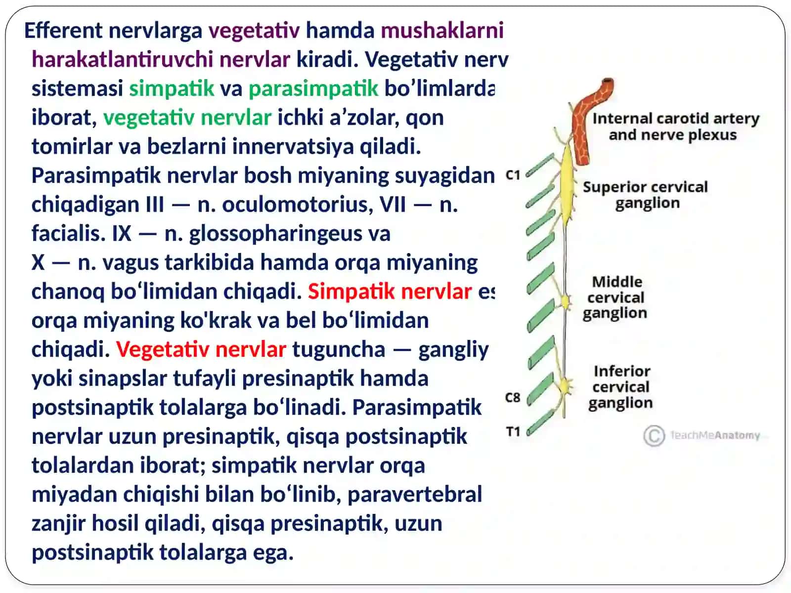 Efferentnervlargata’siretuvchidorivositalarmexanizmini oʼrganish va amaliyotda tаdbiq etish 4