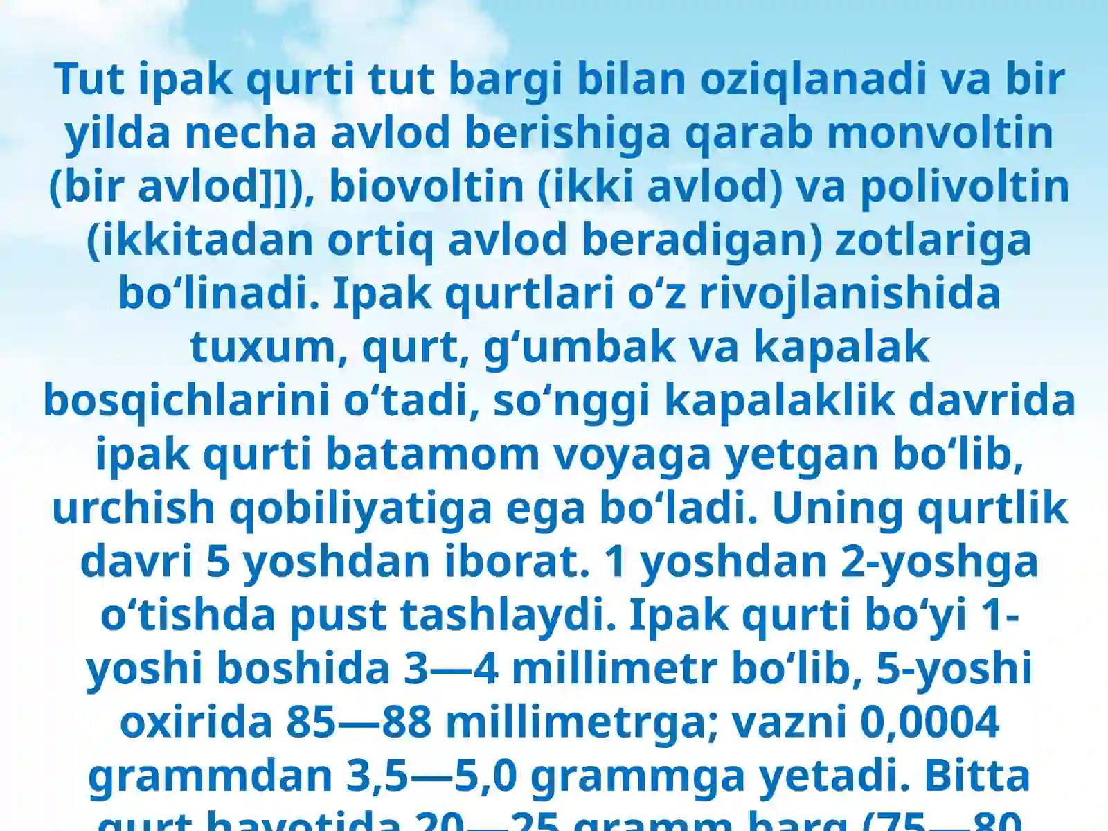 Ipak qurti haqida 4