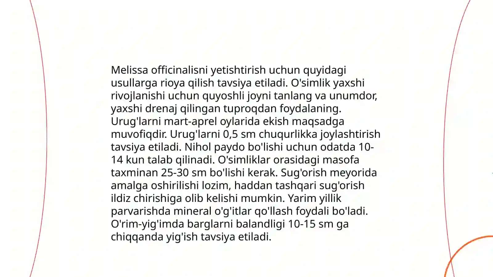 Melissa officinalisning shifobaxsh xususiyatlari 4
