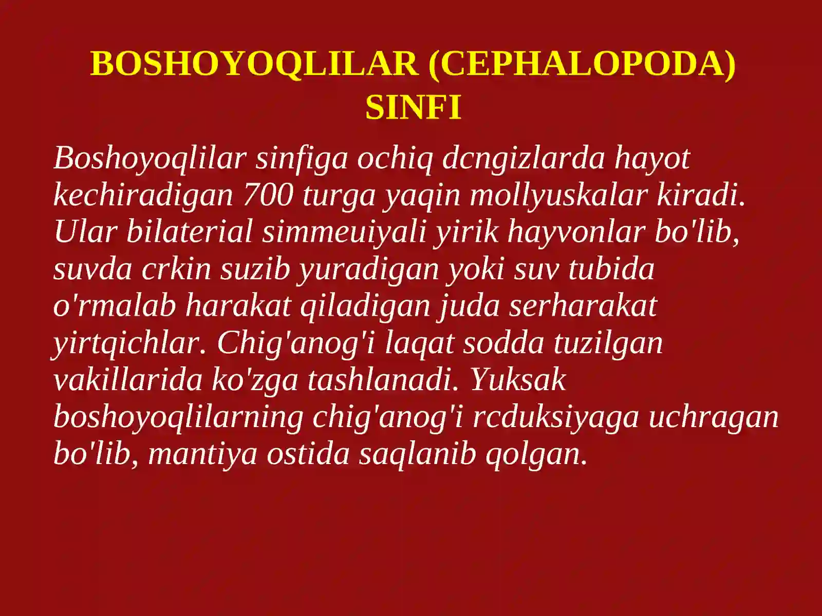 Boshoyoqlilar(Cephalopoda)sinfining tashqi tuzulishi 4