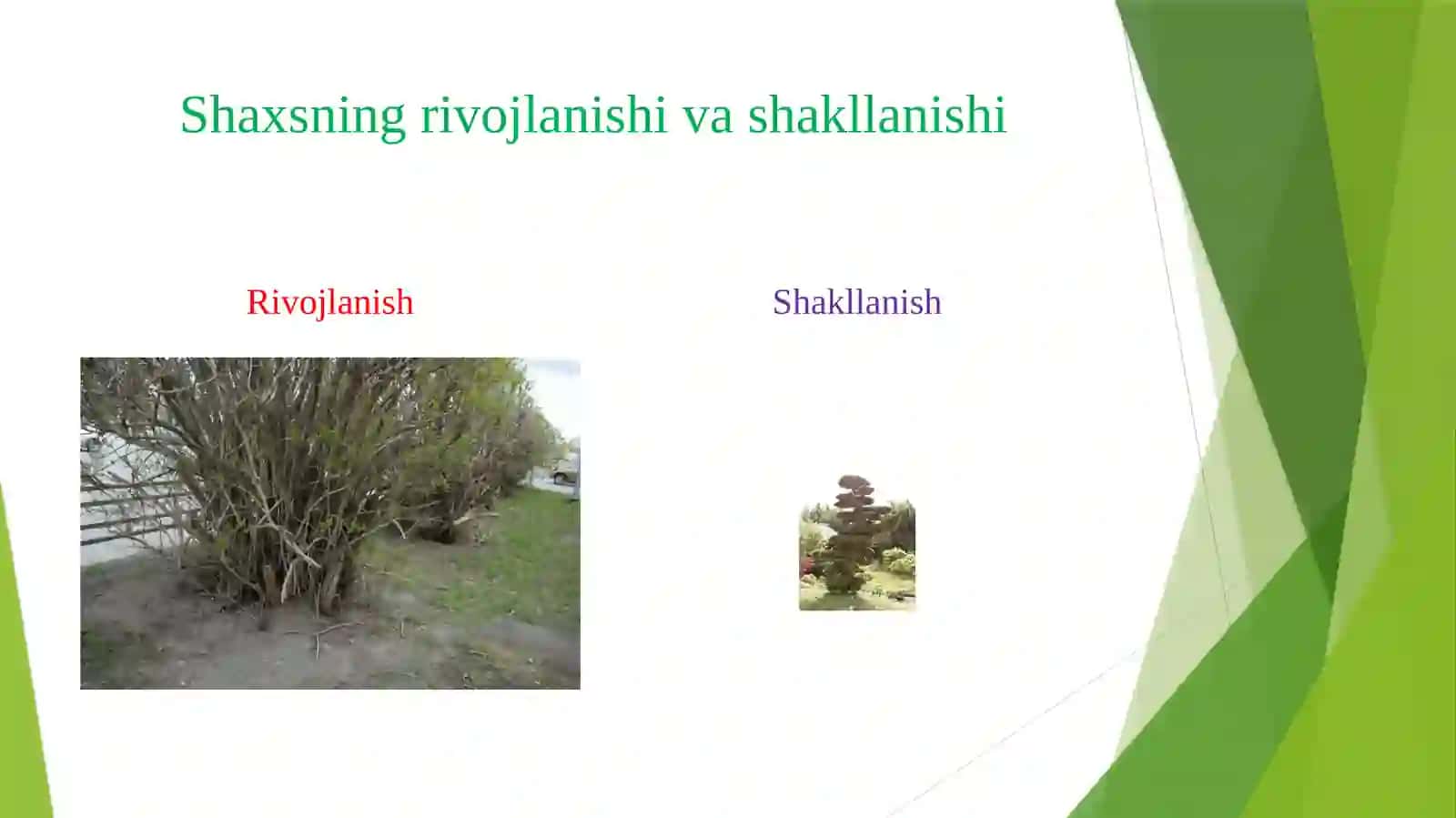 TA’LIM, SHAXS VA JAMIYAT 4