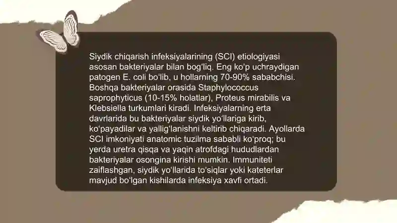Siydik chiqarish infeksiyasi 4