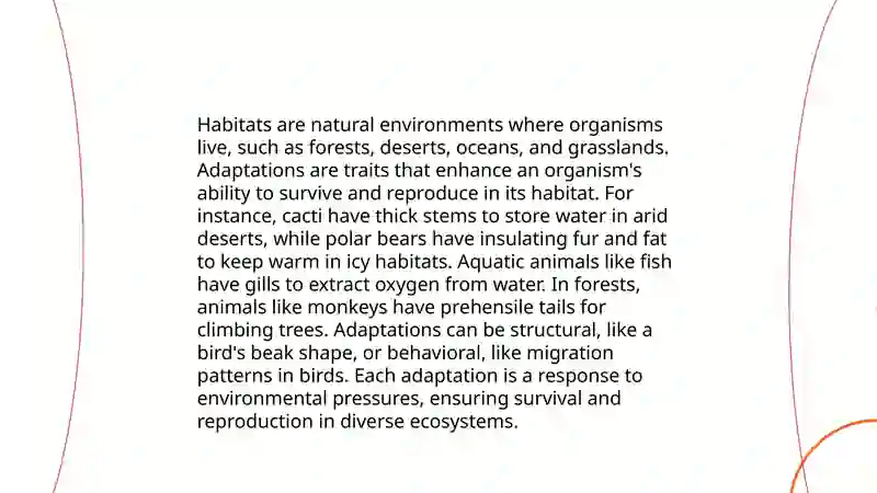 Project describing animals 4