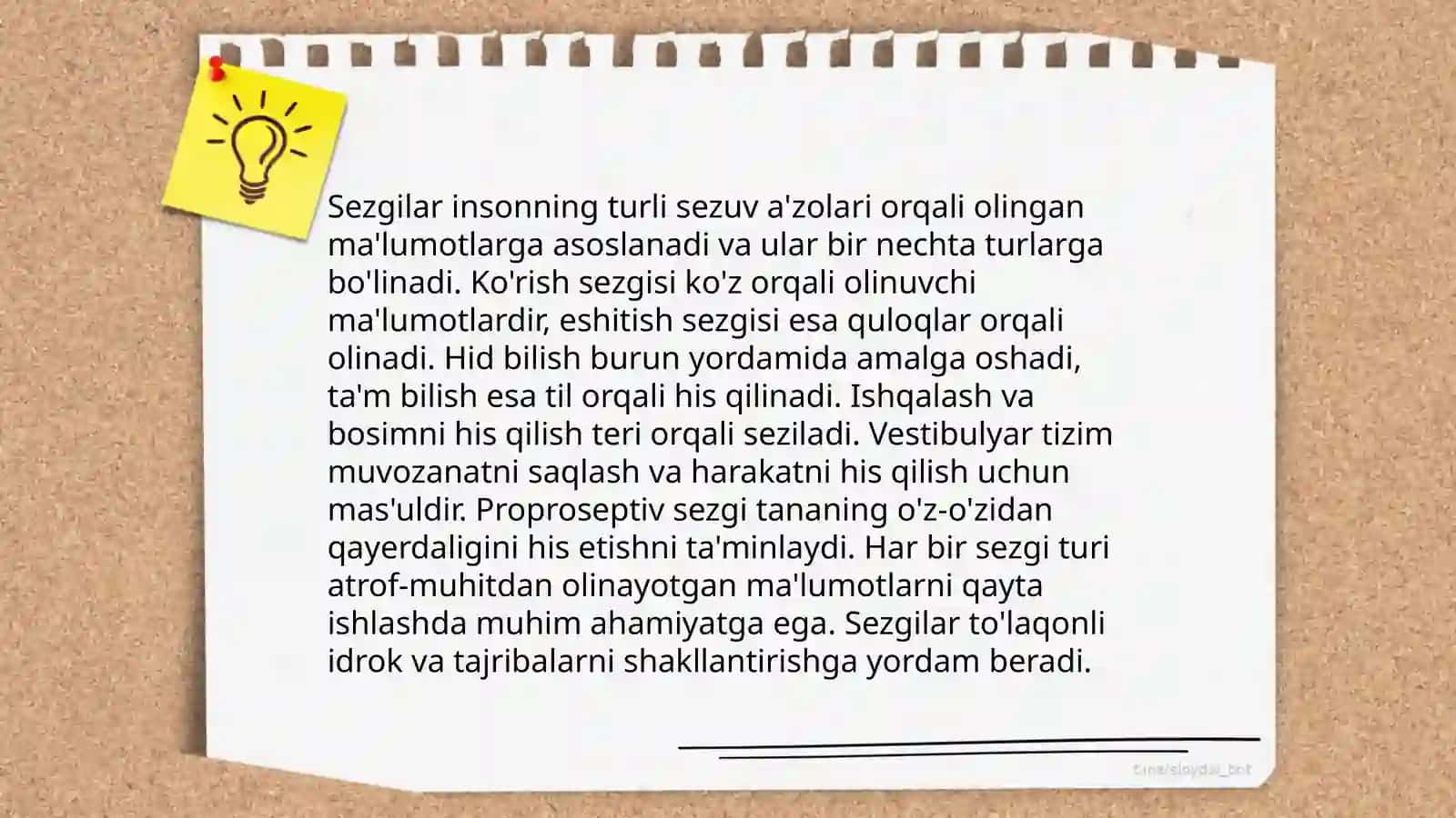 Sezgilar haqida umumiy tushuncha va uning nerv fiziologik asoslari 4