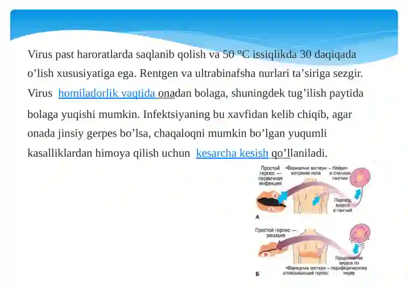 Gerpesvirusi 4