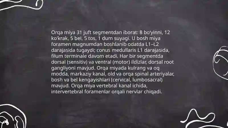 Bosh miya va orqa miya 4